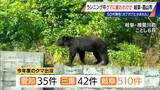 「｢仰向けで倒れたところガブガブと…｣ 岐阜･高山市でランニング中の男性がクマに襲われケガ 東海地方で今年度初めてのクマ被害」の画像5
