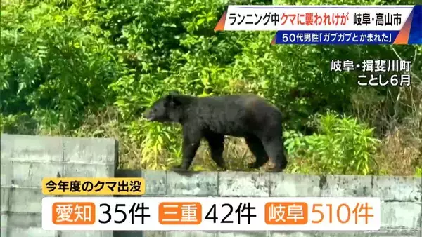 「｢仰向けで倒れたところガブガブと…｣ 岐阜･高山市でランニング中の男性がクマに襲われケガ 東海地方で今年度初めてのクマ被害」の画像