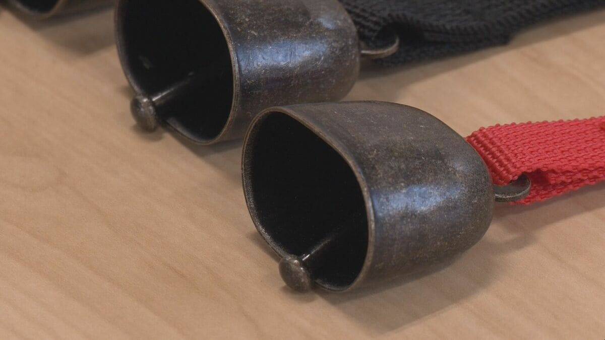 ｢仰向けで倒れたところガブガブと…｣ 岐阜･高山市でランニング中の男性がクマに襲われケガ 東海地方で今年度初めてのクマ被害