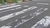 「｢泣いて声を出すことも…｣ 6歳女児死亡 横断歩道で転倒し車にはねられたか “通学路学童に注意”の看板も 愛知･小牧市　」の画像3