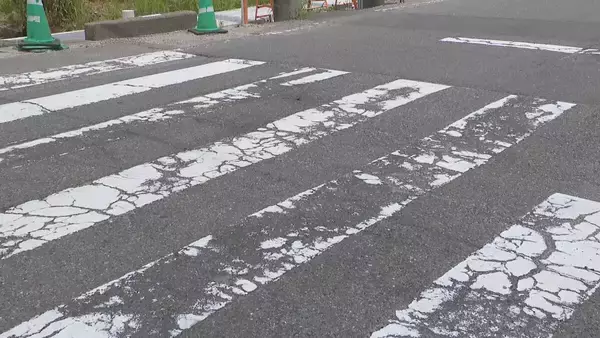 「｢泣いて声を出すことも…｣ 6歳女児死亡 横断歩道で転倒し車にはねられたか “通学路学童に注意”の看板も 愛知･小牧市　」の画像
