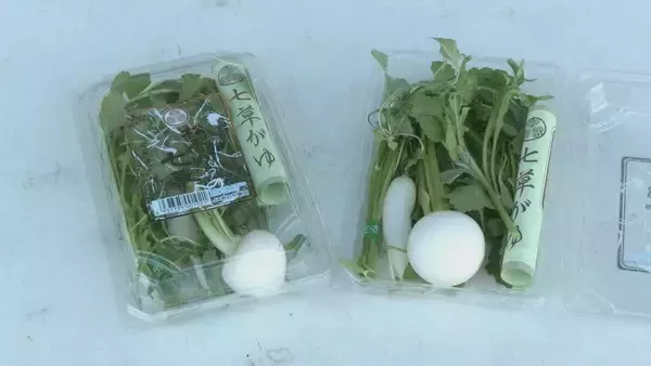 「「春の七草」出荷はじまる 1月7日朝に“おかゆ”に入れて食べ無病息災を祈る 愛知･豊田市」の画像