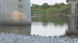 「相次ぐ水難事故 “川に潜む危険”とは… ライフジャケット必須でも注意が必要 もし流されたら｢足を下流に向けて“浮いて待つ”」の画像1
