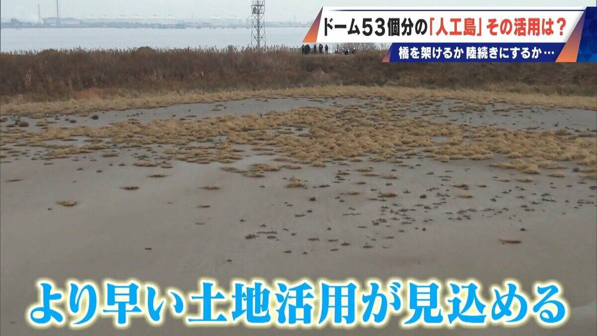 橋のない名古屋港の「人工島」どこから入る？見た目は野球のホームベース…ドーム53個分の土砂捨て場は“宝の島”か