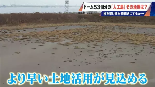 「橋のない名古屋港の「人工島」どこから入る？見た目は野球のホームベース…ドーム53個分の土砂捨て場は“宝の島”か」の画像