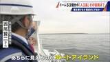 「橋のない名古屋港の「人工島」どこから入る？見た目は野球のホームベース…ドーム53個分の土砂捨て場は“宝の島”か」の画像4