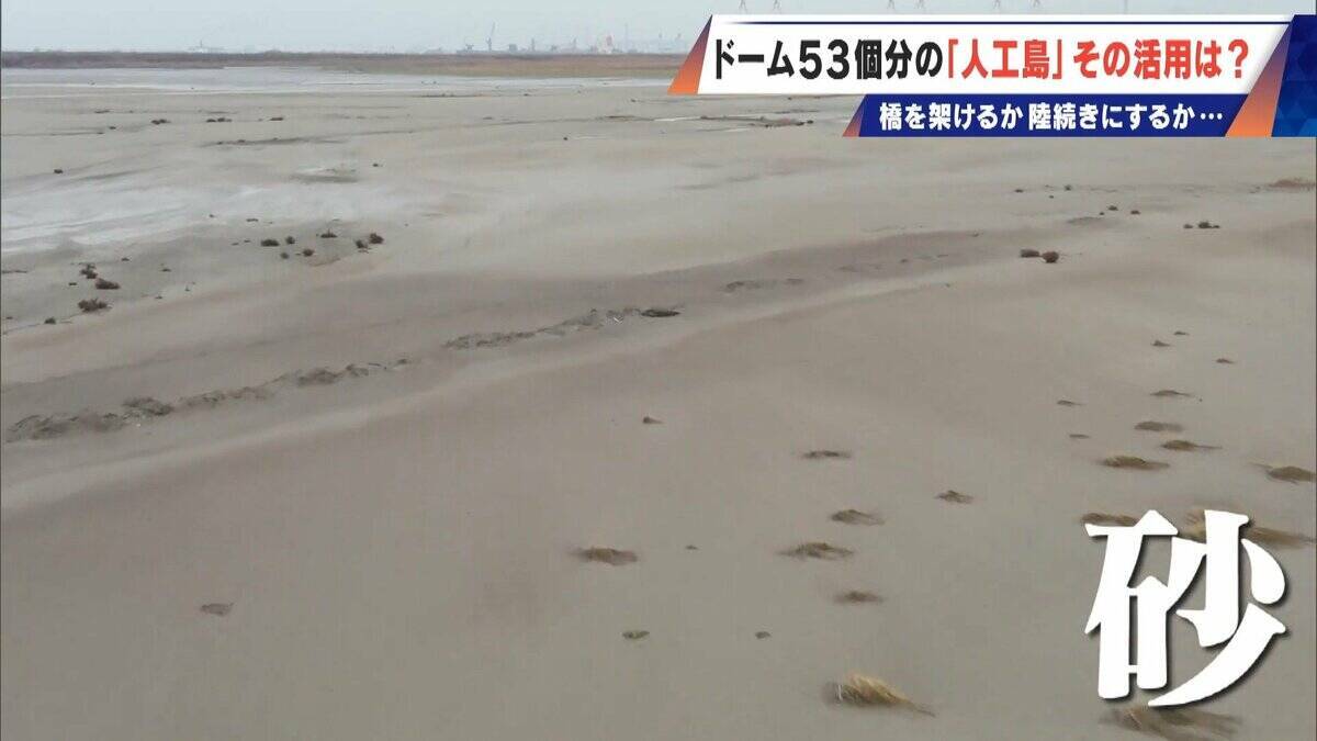 橋のない名古屋港の「人工島」どこから入る？見た目は野球のホームベース…ドーム53個分の土砂捨て場は“宝の島”か
