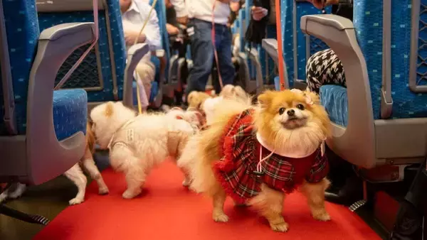 「新幹線内で愛犬をケージから出せる！｢わんわんエクスプレス｣ 今年も試験運行 6月の｢インターペット大阪｣に合わせて…限定100人」の画像