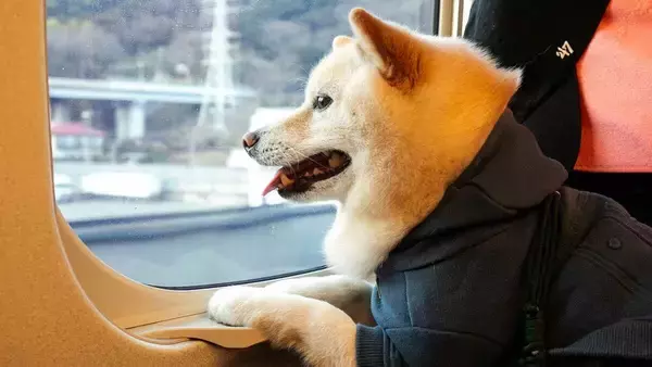「新幹線内で愛犬をケージから出せる！｢わんわんエクスプレス｣ 今年も試験運行 6月の｢インターペット大阪｣に合わせて…限定100人」の画像