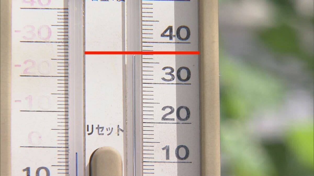 暑さに強いパッションフルーツ栽培も… 適正温度は25℃ ｢暑くなり過ぎても影響出る｣ “熱帯フルーツ”試験栽培 三重･南伊勢町