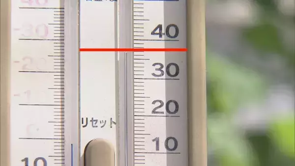 「暑さに強いパッションフルーツ栽培も… 適正温度は25℃ ｢暑くなり過ぎても影響出る｣ “熱帯フルーツ”試験栽培 三重･南伊勢町」の画像