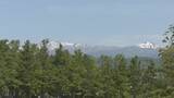 「“青の風景”が一面に 標高約1000ｍで｢ネモフィラ｣見頃 遠くの白山連峰にはまだ雪が… 岐阜･郡上市のひるがの高原 牧歌の里」の画像7
