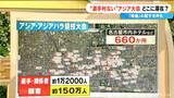 「“選手村”のないアジア大会 ｢コンテナハウス｣｢クルーズ船｣｢ホテル｣で選手関係者を受け入れ  期間中 台風や津波が来たらクルーズ船はどうする？」の画像4