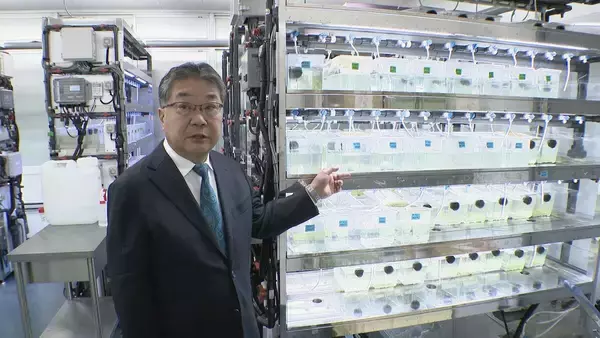 「ノーベル生理学・医学賞の有力候補　京大・森和俊特別名誉教授が名城大に研究拠点を移転　“小胞体ストレス応答”仕組みを解明しパーキンソン病治療に光明」の画像