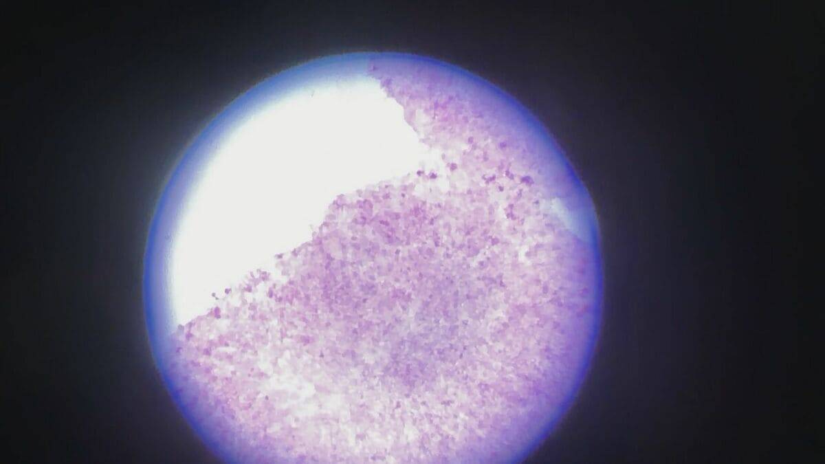 ノーベル賞受賞者 “山中伸弥氏×天野浩氏”が名古屋で座談会 iPS細胞の研究進捗の講演に展示も… 中区･栄