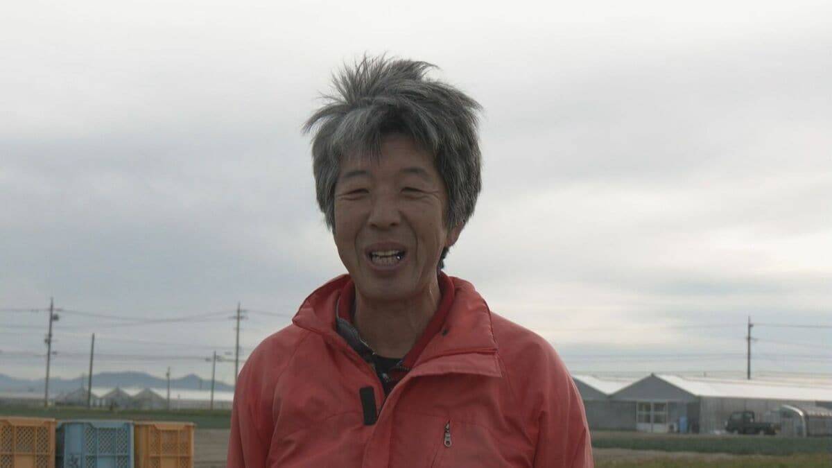 愛知･碧南市のブランド人参｢へきなん美人｣ 収穫最盛期 甘み強く独特の臭みが少ないのが特長