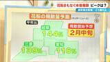 「花粉まもなく“本格飛散” 今年は飛散量多い予想 前年夏に｢気温が高い・日照時間が多い・雨が少ない｣→全てが当てはまる」の画像3