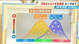 「花粉まもなく“本格飛散” 今年は飛散量多い予想 前年夏に｢気温が高い・日照時間が多い・雨が少ない｣→全てが当てはまる」の画像4