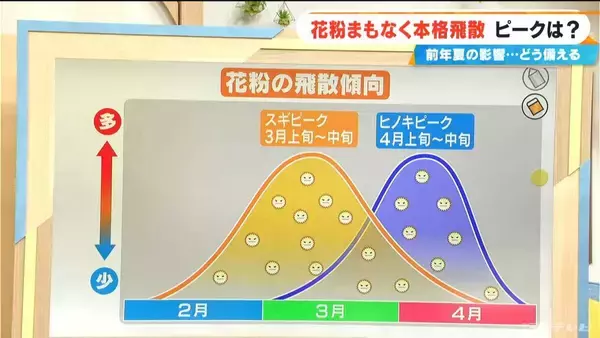 「花粉まもなく“本格飛散” 今年は飛散量多い予想 前年夏に｢気温が高い・日照時間が多い・雨が少ない｣→全てが当てはまる」の画像