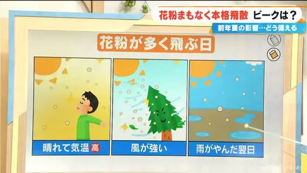 「花粉まもなく“本格飛散” 今年は飛散量多い予想 前年夏に｢気温が高い・日照時間が多い・雨が少ない｣→全てが当てはまる」の画像