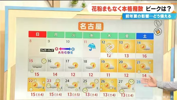 「花粉まもなく“本格飛散” 今年は飛散量多い予想 前年夏に｢気温が高い・日照時間が多い・雨が少ない｣→全てが当てはまる」の画像
