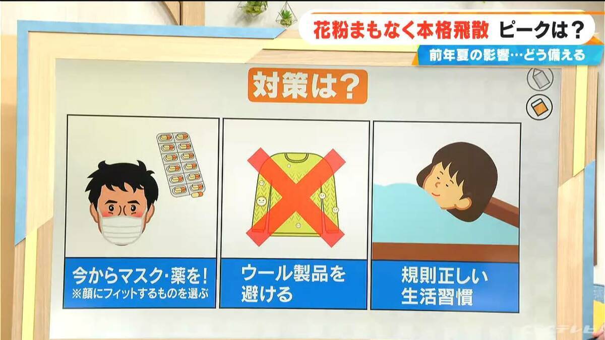 花粉まもなく“本格飛散” 今年は飛散量多い予想 前年夏に｢気温が高い・日照時間が多い・雨が少ない｣→全てが当てはまる