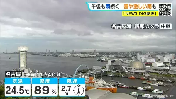 東海地方 あす･あさっては晴れ間も…所々で雨 きょう午後も激しい雨に注意 最新の雨シミュレーション 愛知･名古屋･岐阜･三重の天気予報（5/21 昼）