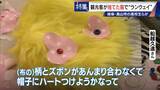 「観光客が“捨てた服”でファッションショー 高校生らが世界に1つだけの衣装を製作 福祉施設とタッグを組み｢絆｣と｢思い出｣に変える」の画像9