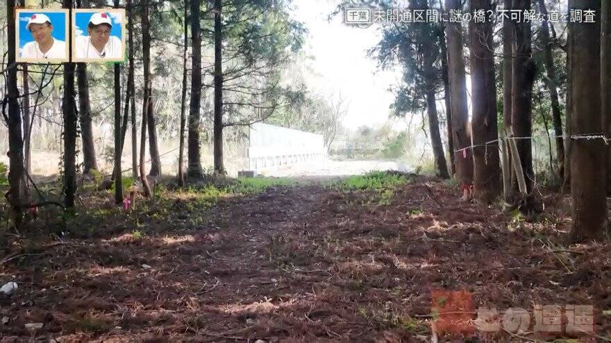 森林の中に“謎の橋”!?千葉県道｢生実本納線｣の未開通区間の謎を紐解く旅【道との遭遇】