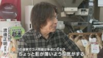国に振り回されたコメ業界 衆議院解散･総選挙を前に米店が求めることは？ ｢米の議論も含めてやってほしい｣