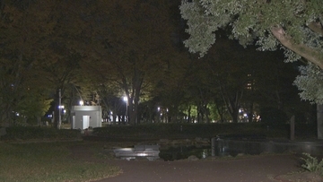 校外学習中の小学生にケヤキの枝が当たる 長さ2.3メートル 重さ3.3キロ 造園業者が一斉点検も他に落下の恐れがある枝はなし 名古屋