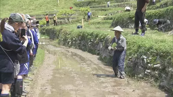日本の棚田百選の一つ、丸山千枚田で田植えの集い　オーナーやボランティアが参加　三重・熊野市