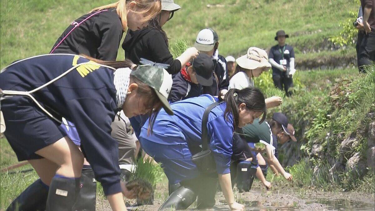 日本の棚田百選の一つ、丸山千枚田で田植えの集い　オーナーやボランティアが参加　三重・熊野市
