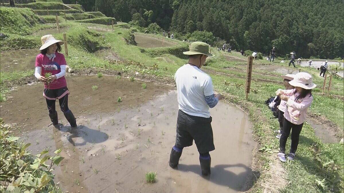 日本の棚田百選の一つ、丸山千枚田で田植えの集い　オーナーやボランティアが参加　三重・熊野市