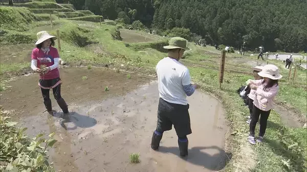 「日本の棚田百選の一つ、丸山千枚田で田植えの集い　オーナーやボランティアが参加　三重・熊野市」の画像