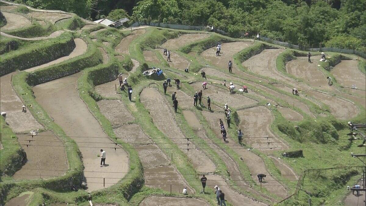 日本の棚田百選の一つ、丸山千枚田で田植えの集い　オーナーやボランティアが参加　三重・熊野市