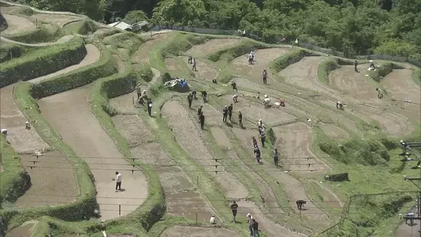 「日本の棚田百選の一つ、丸山千枚田で田植えの集い　オーナーやボランティアが参加　三重・熊野市」の画像