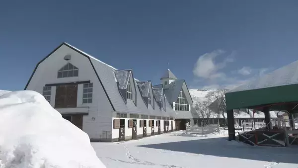 「“牧歌の里”で羊のベビーラッシュ お乳を飲んですくすく成長 ｢小さくて可愛いかった｣ 愛らしい仕草や柔らかい感触で訪れた人を魅了 岐阜･郡上市」の画像