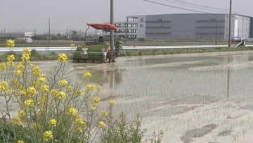 コメ農家が悲鳴 軽油に1か月66万円 ｢コメが売れても手元に残るお金が少ない｣ 農機具のゴムベルトも…｢入手できないとおしまい｣