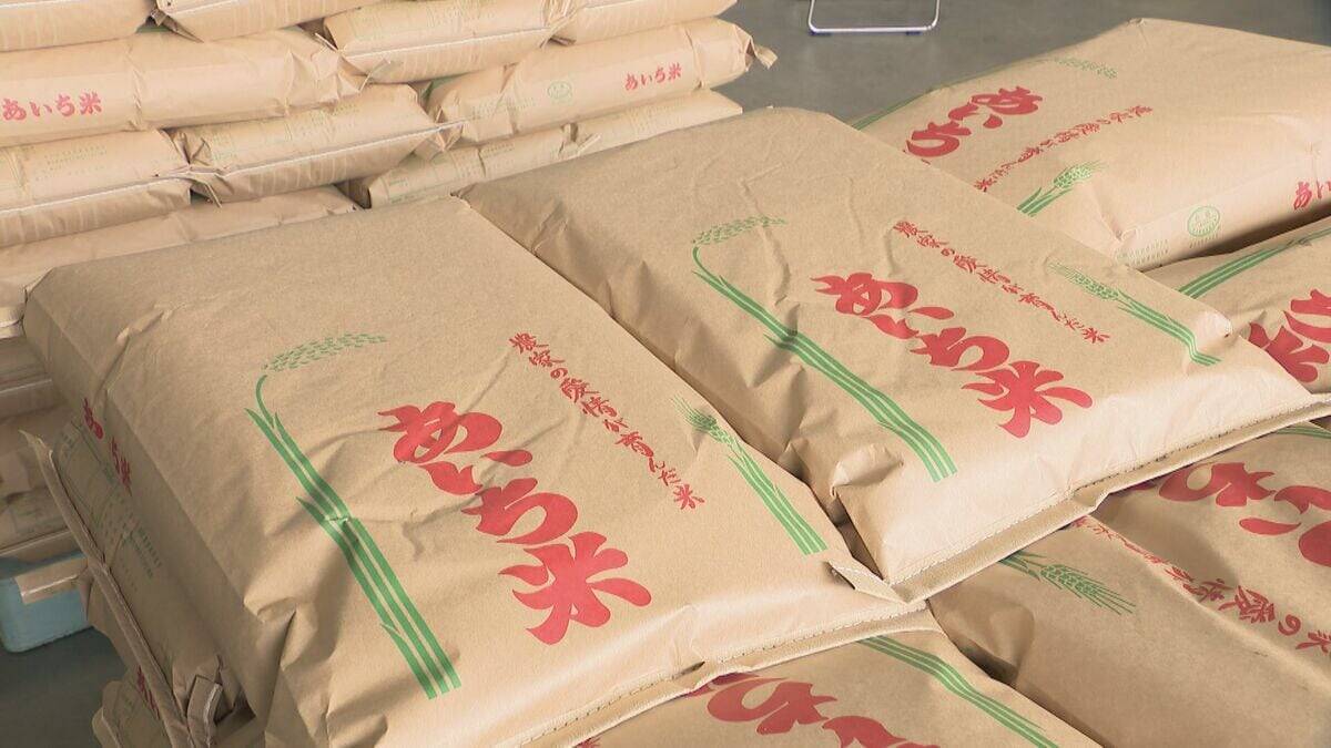 “県内で最も早い”早場米 愛知･弥富市であいち米の出荷始まる「価格もリーズナブルになる予想、お茶碗一杯余分に食べて」