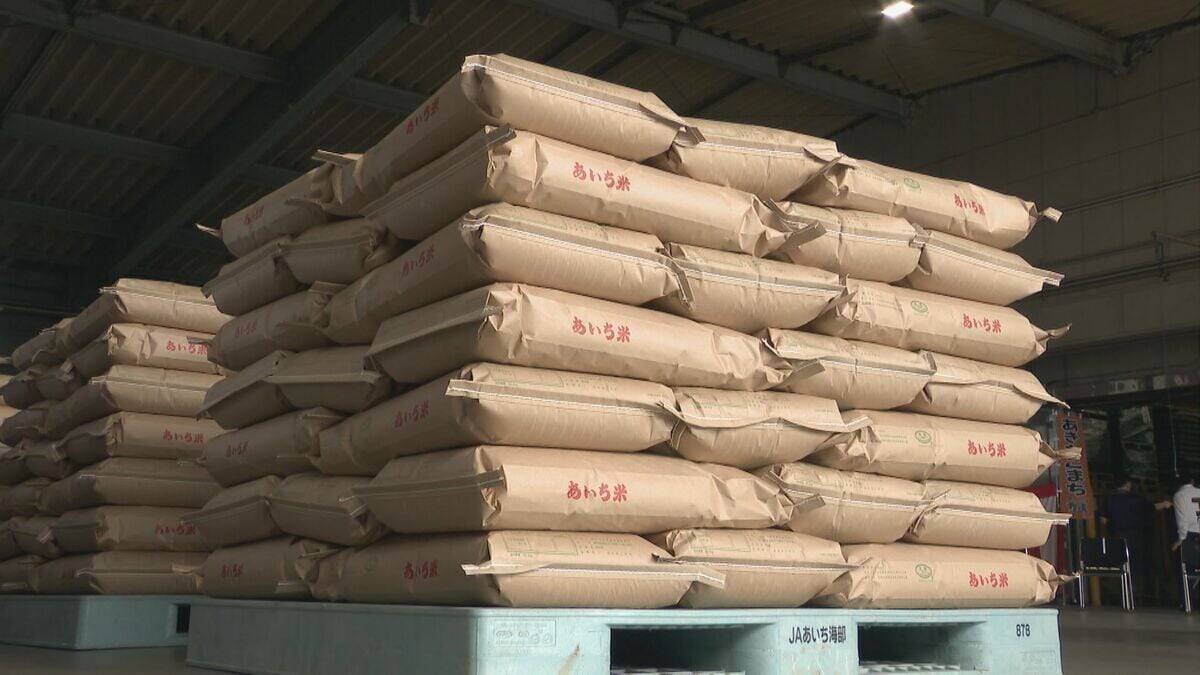 “県内で最も早い”早場米 愛知･弥富市であいち米の出荷始まる「価格もリーズナブルになる予想、お茶碗一杯余分に食べて」