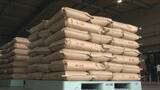 「“県内で最も早い”早場米 愛知･弥富市であいち米の出荷始まる「価格もリーズナブルになる予想、お茶碗一杯余分に食べて」」の画像4