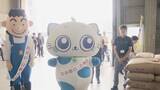「“県内で最も早い”早場米 愛知･弥富市であいち米の出荷始まる「価格もリーズナブルになる予想、お茶碗一杯余分に食べて」」の画像6