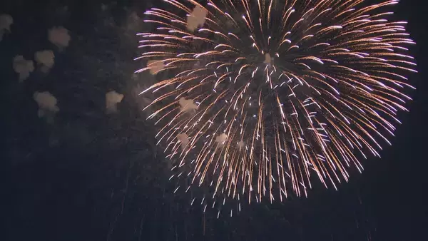 毎年7月「海の日名古屋みなと祭」に実施する名古屋港の花火大会ことしは中止の見通し…会場のガーデンふ頭「アジア大会の選手宿泊拠点」となるなどの影響 花火観覧スペースの確保難しく
