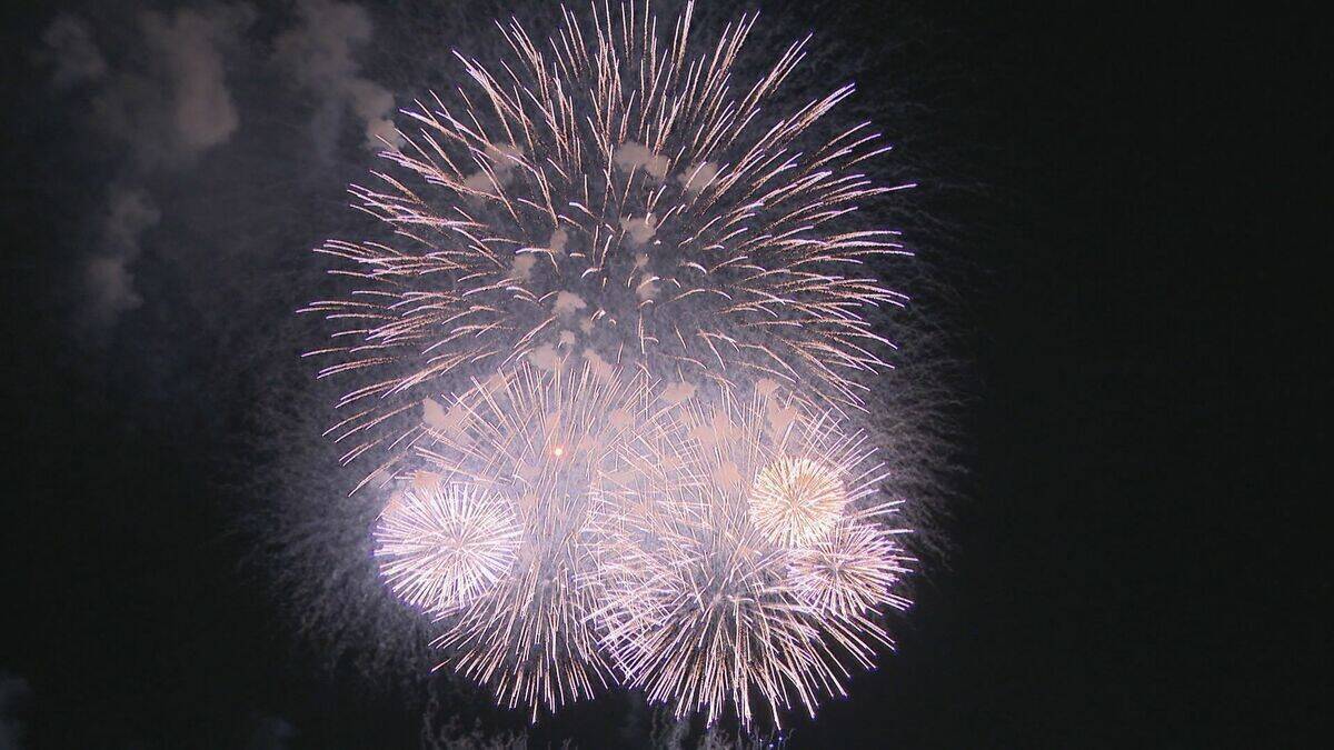 毎年7月「海の日名古屋みなと祭」に実施する名古屋港の花火大会ことしは中止の見通し…会場のガーデンふ頭「アジア大会の選手宿泊拠点」となるなどの影響 花火観覧スペースの確保難しく