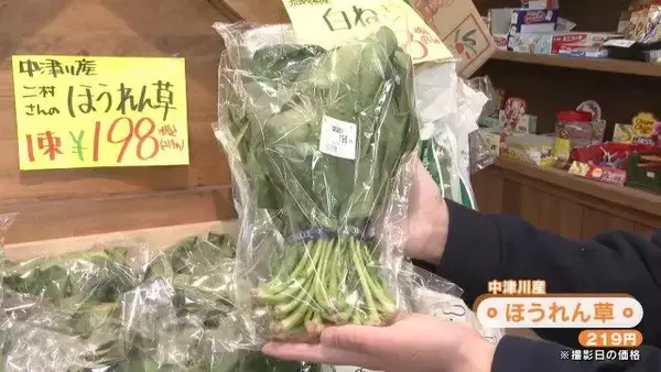 「“日本一のスーパー”が岐阜の山奥に… コンビニ半分の広さで｢KALDI｣と呼ばれる秘密 店主は元百貨店の販売員 中津川市」の画像