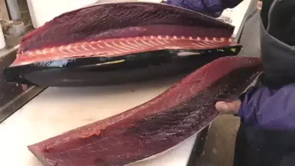 「“日本一のスーパー”が岐阜の山奥に… コンビニ半分の広さで｢KALDI｣と呼ばれる秘密 店主は元百貨店の販売員 中津川市」の画像