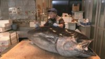 卸売市場で本マグロの大サービス ことし最後の一般開放で｢正月に向けて、いい食材あれば｣ 年末年始の大売り出し 愛知･豊田市