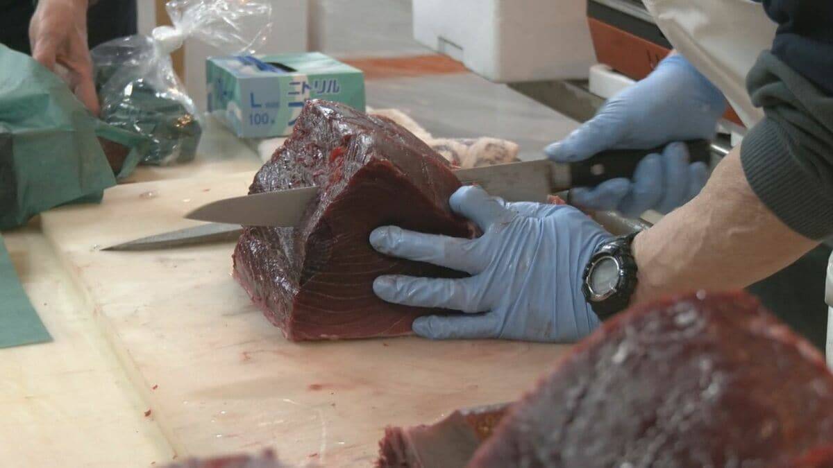 卸売市場で本マグロの大サービス ことし最後の一般開放で｢正月に向けて、いい食材あれば｣ 年末年始の大売り出し 愛知･豊田市