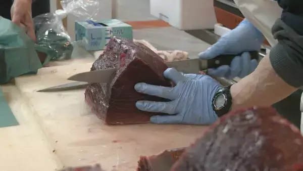 「卸売市場で本マグロの大サービス ことし最後の一般開放で｢正月に向けて、いい食材あれば｣ 年末年始の大売り出し 愛知･豊田市」の画像